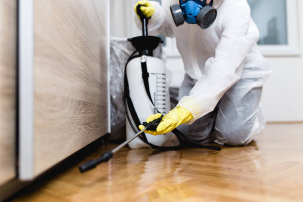 Best Best Pest Control Companies  in Louisville, CO
