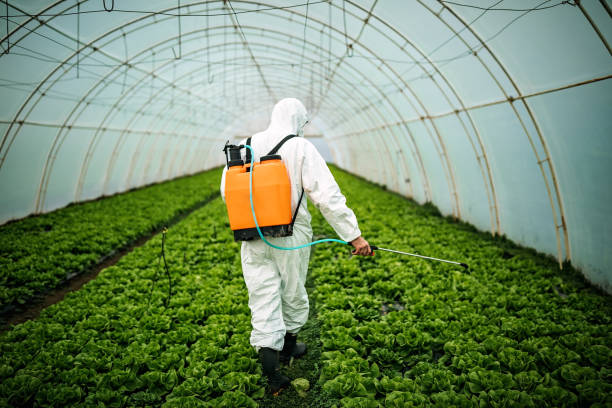 Best Pest Prevention Services  in Louisville, CO