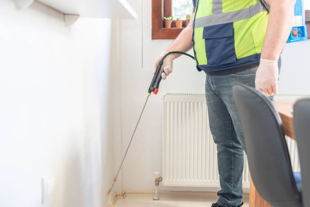 Best Emergency Pest Control  in Louisville, CO